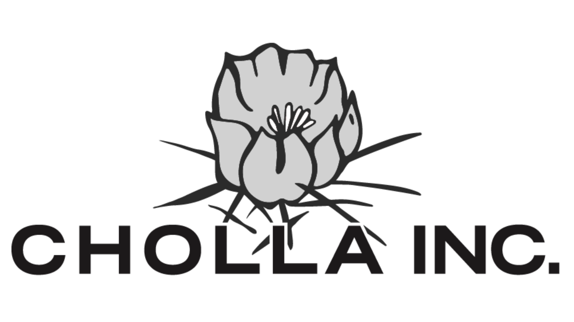 Cholla